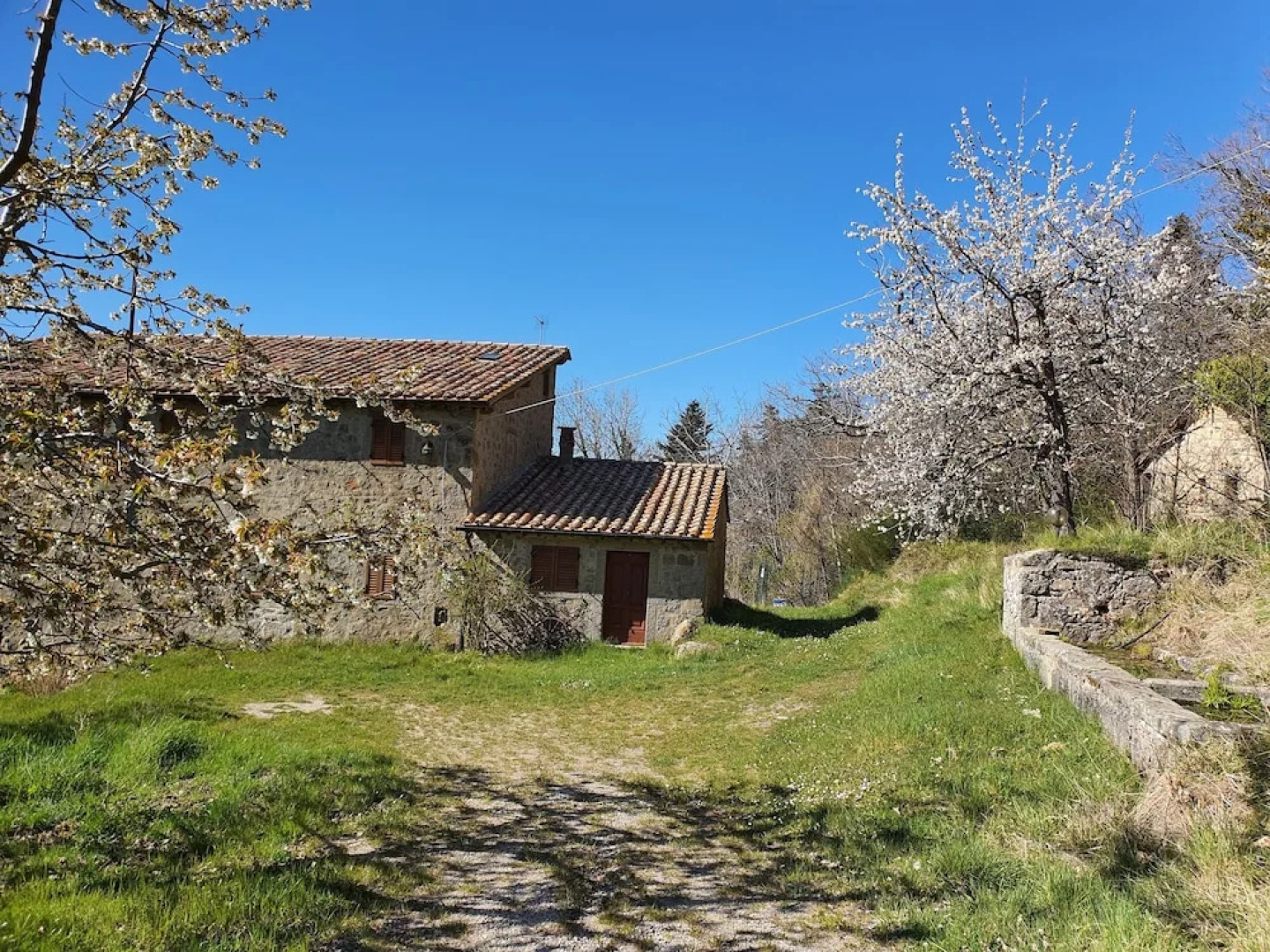 - Agriturismo La Piaggia - Forest View Apartment on the Ground Floor 2 Guests