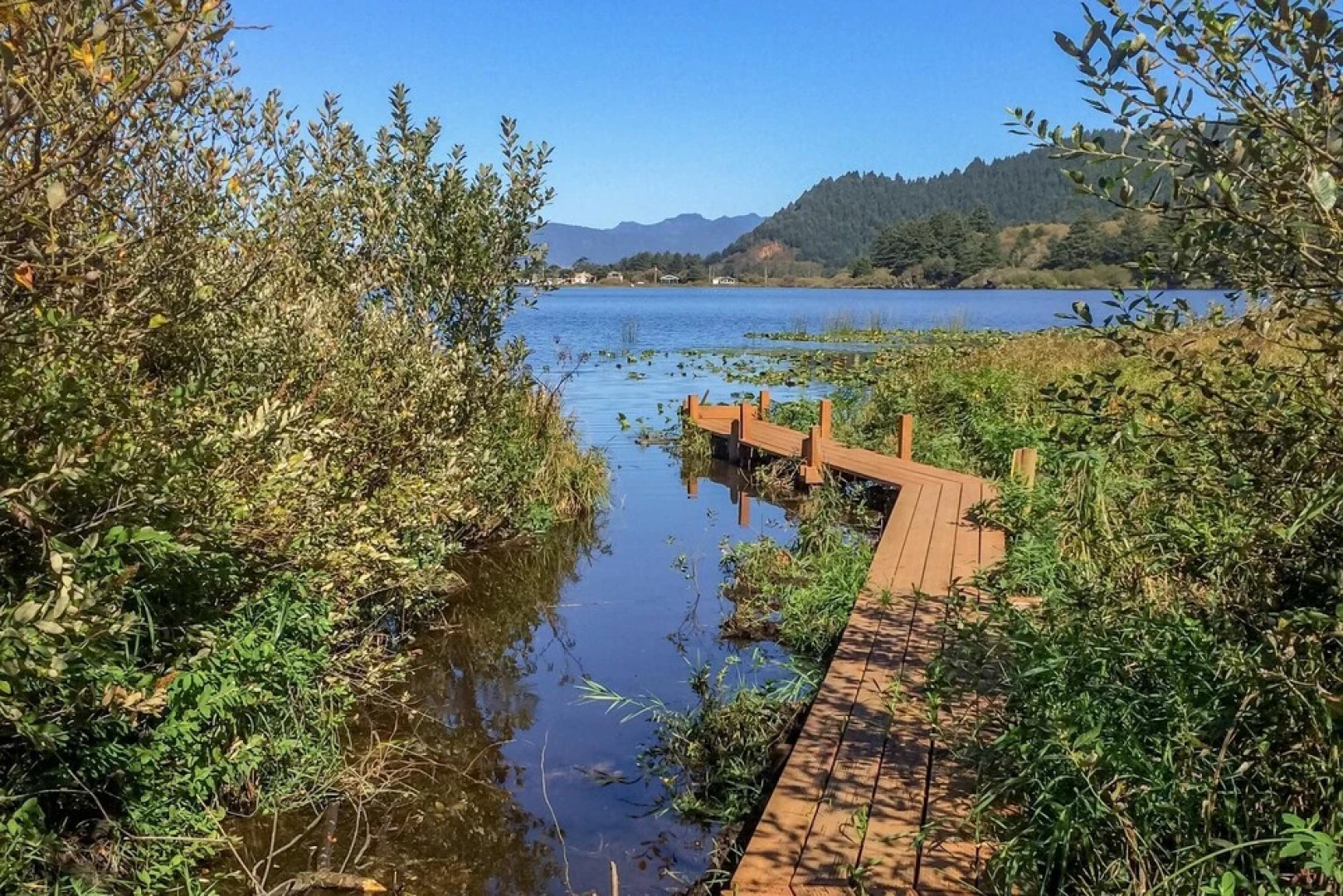 Lakefront Beachhouse