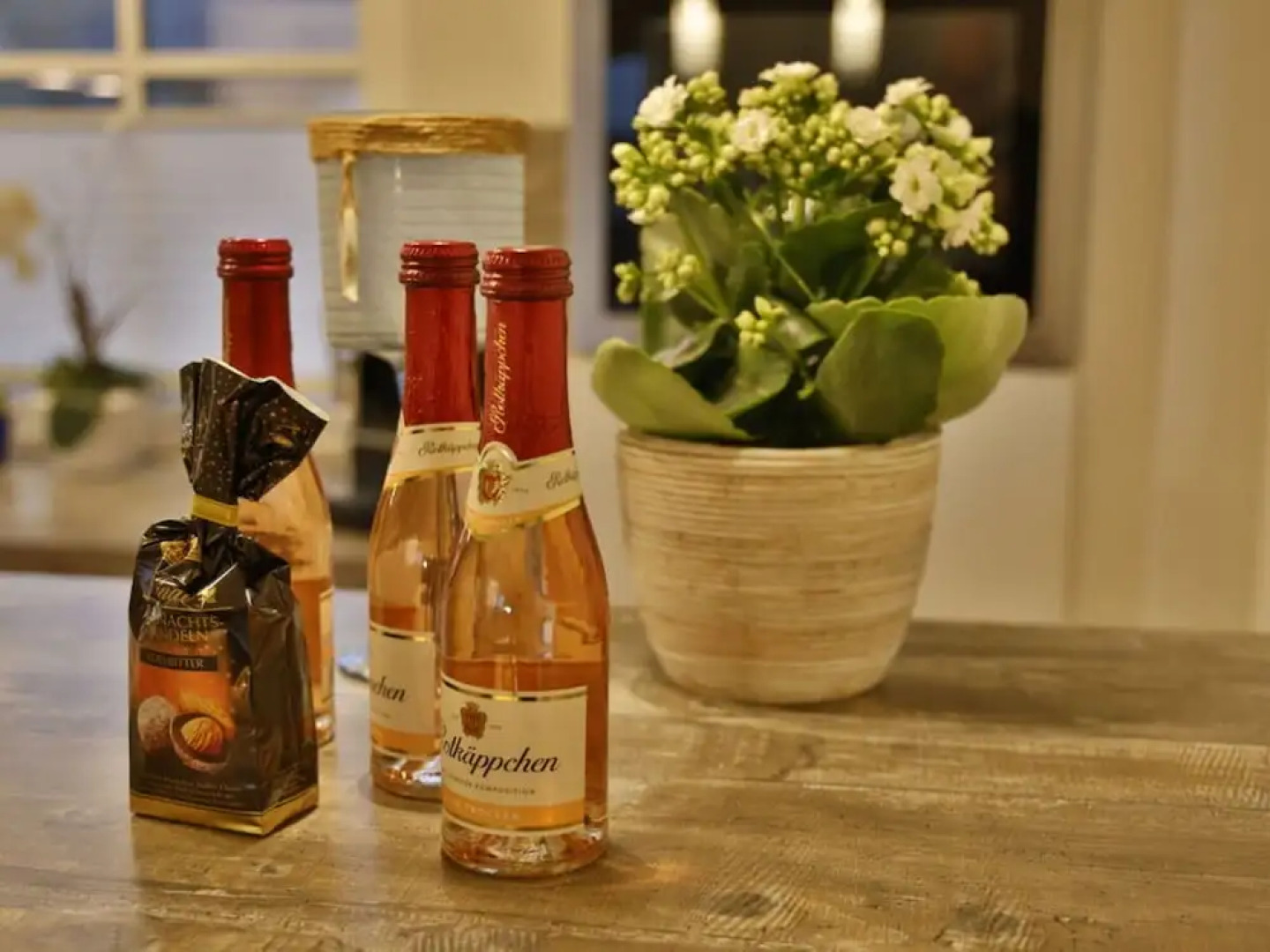 Seeschwalbe Modern Retreat