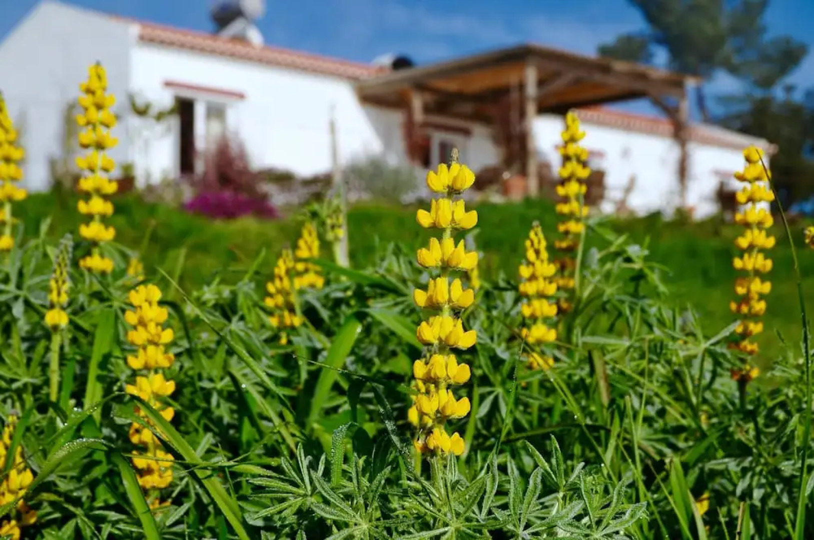 Villa with 2 Bedrooms in Zambujeiras, with Wonderful Mountain View, Private Pool, Furnished Garden - 20 Km From the Beach