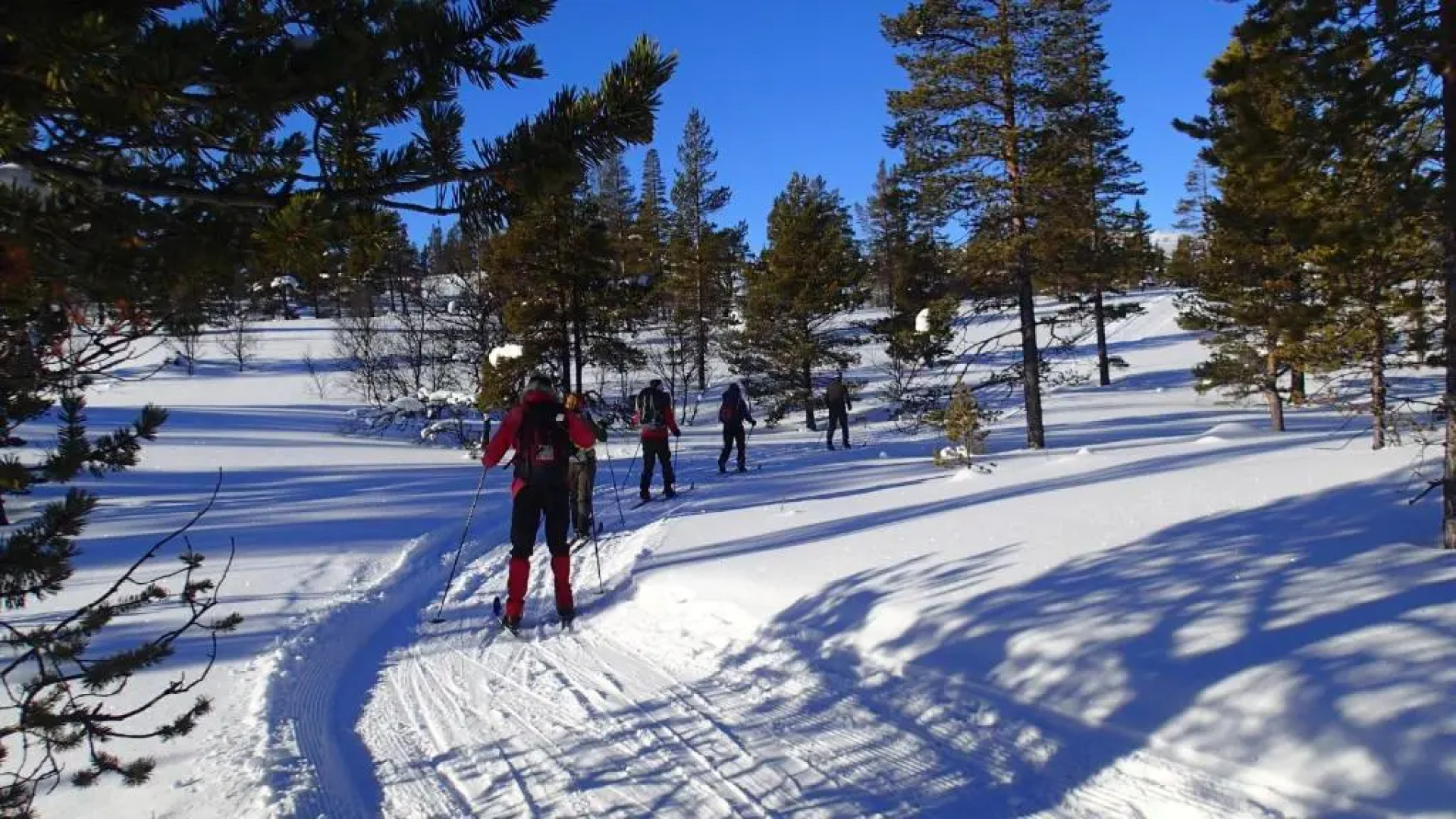 Rondane Friluftssenter Rondetunet