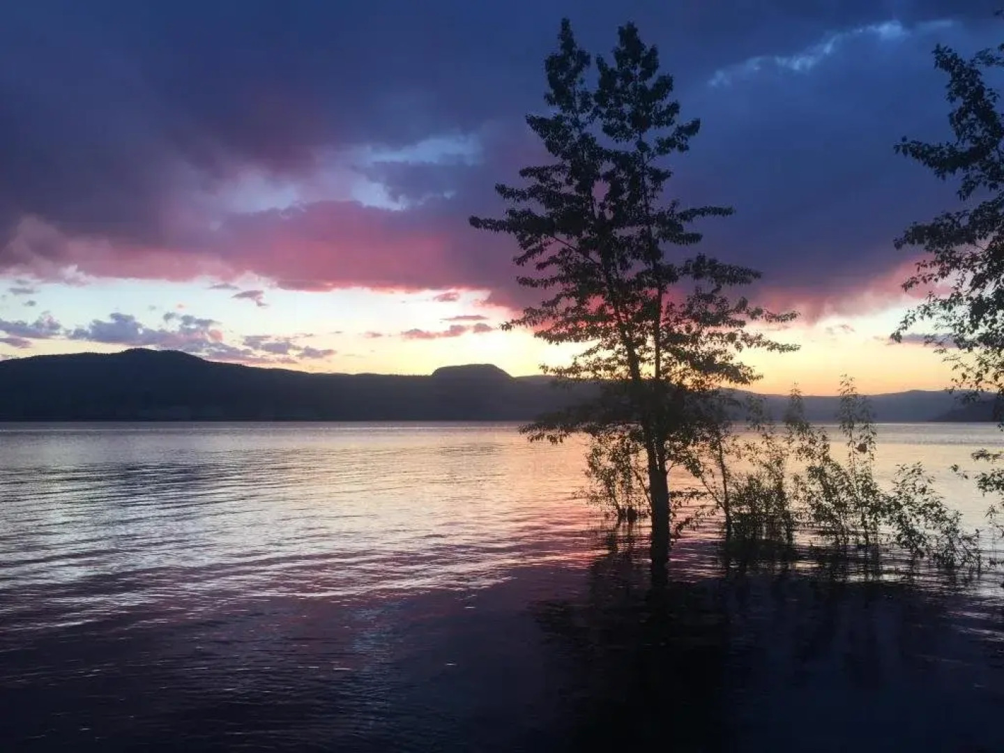 Singing Marmot Guest Suites