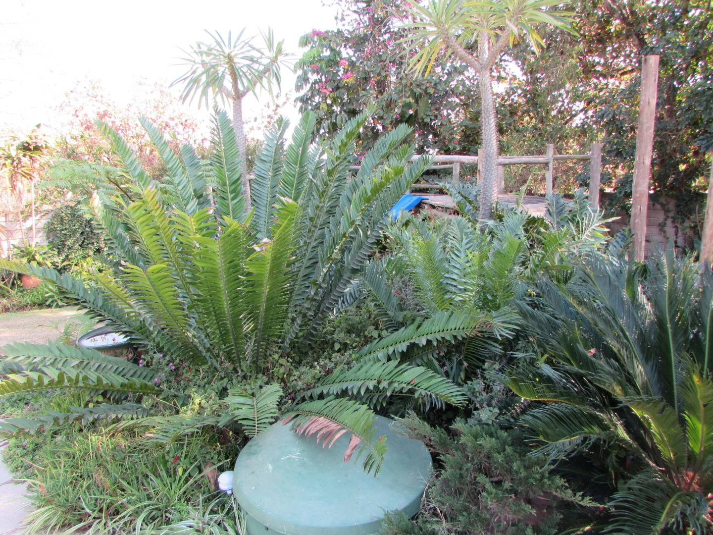 Matt's Rest B&B and Self Catering