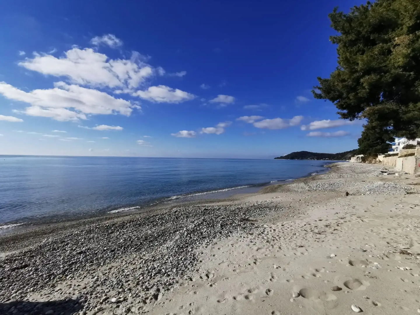 leonidas apartments and suites