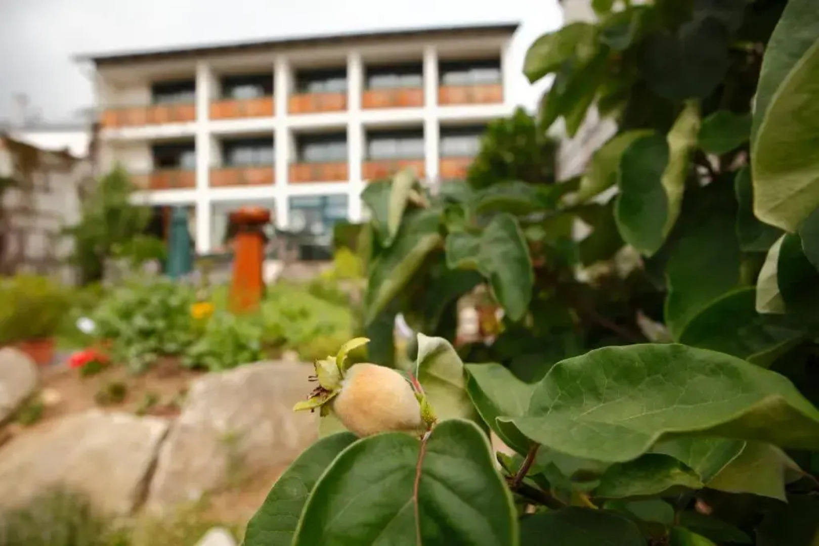 Bärnsteinhof - Das Kräuterhotel