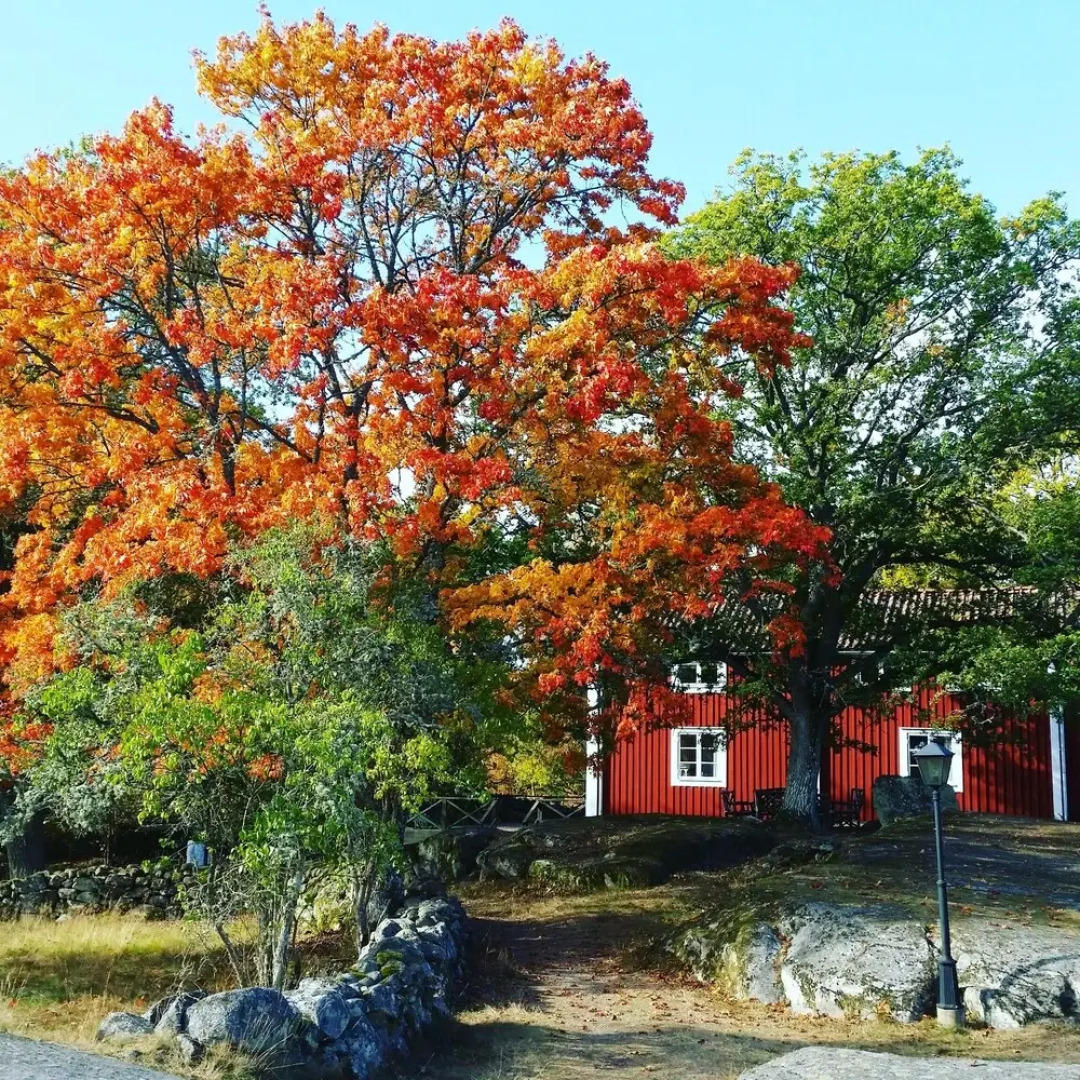 STF Tjärö Hotell & Vandrarhem