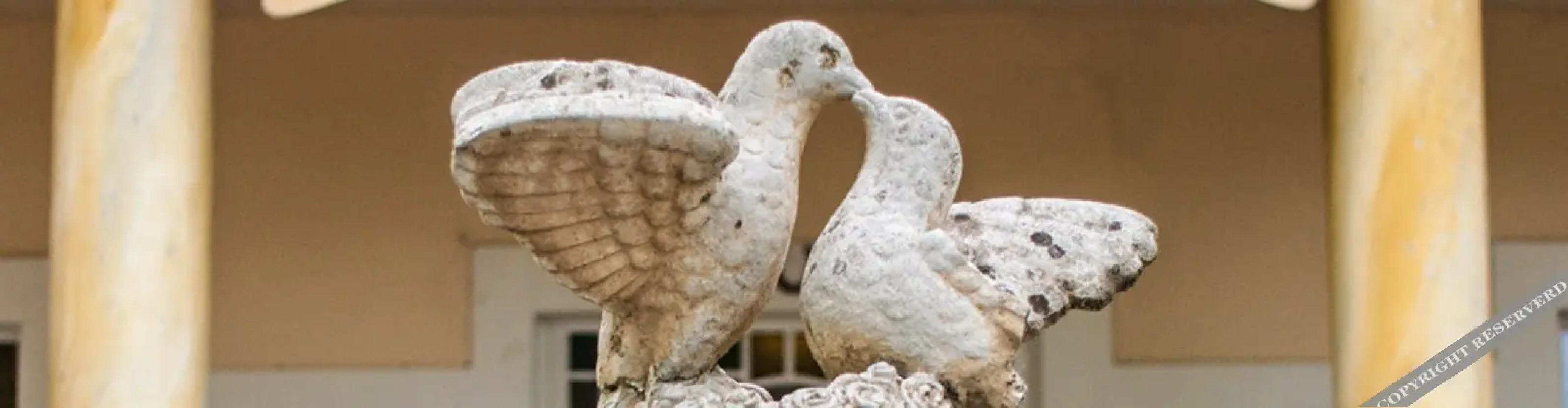 Hotel Grüner Jäger