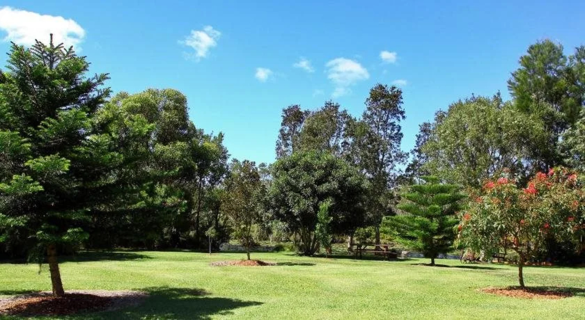 Salamander Bay Bed and Breakfast