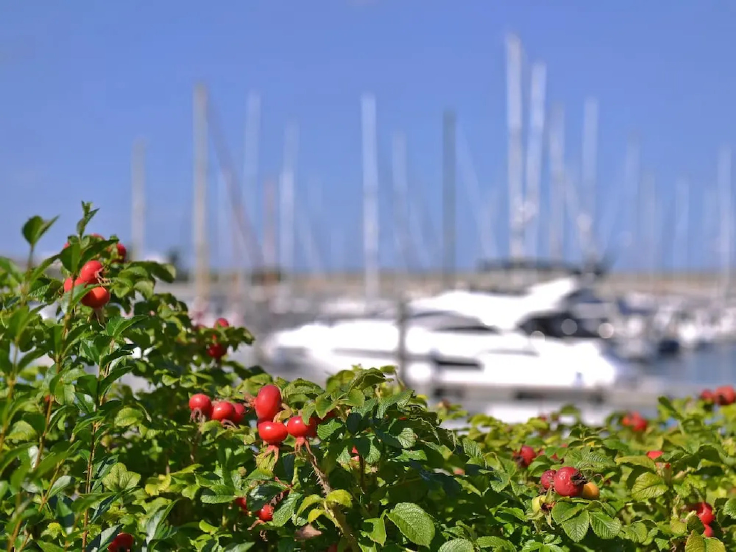 Detached bungalow for 5 people with a beautiful view of the marina