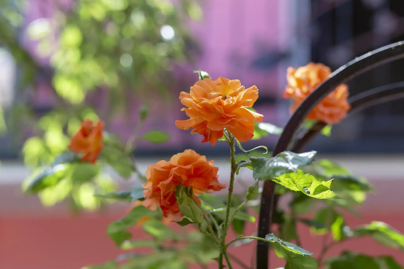 U Yudzhina Guest House