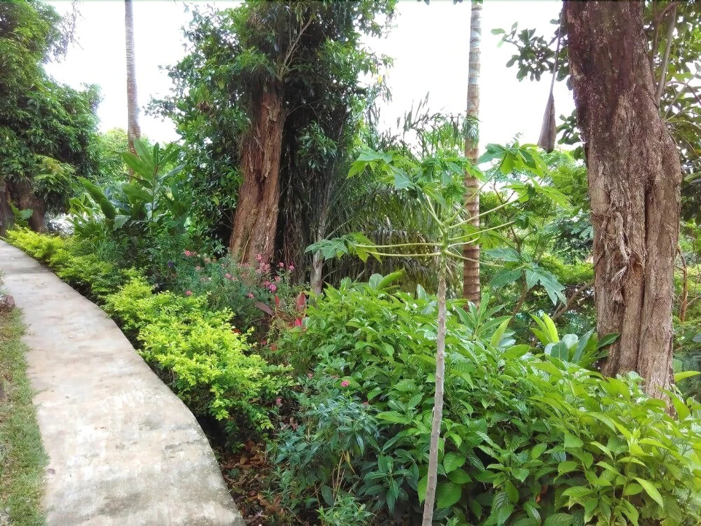 The Station Seychelles