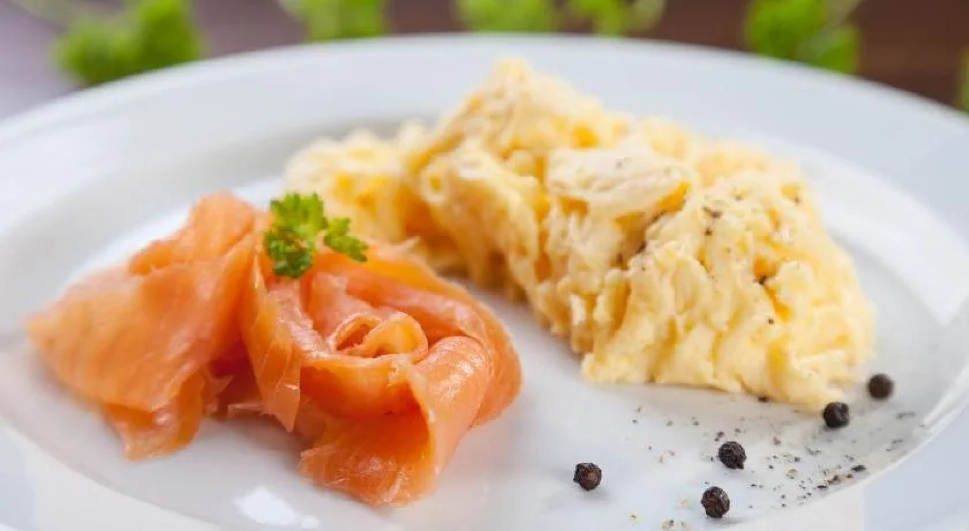 Costislost Organic Retreat