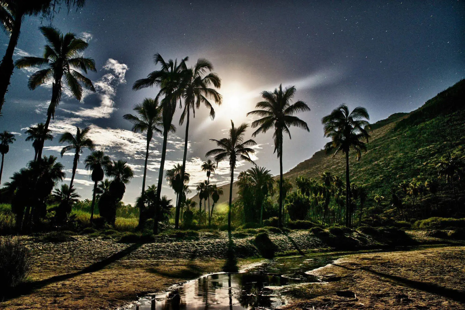 Hacienda Todos Los Santos
