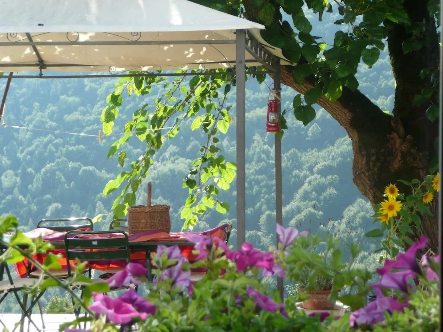 i boschi del castagno