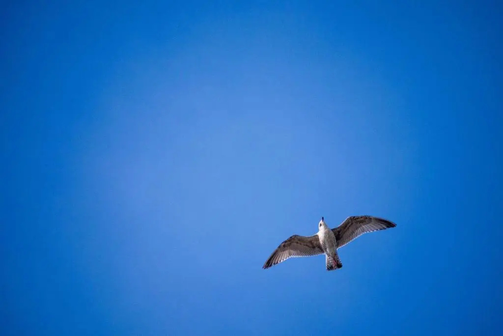 139 Ferienhaus am Wattenmeer