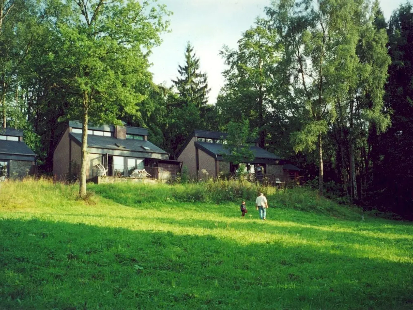 Tidy Holiday Home With Wood Burner in a Green Area