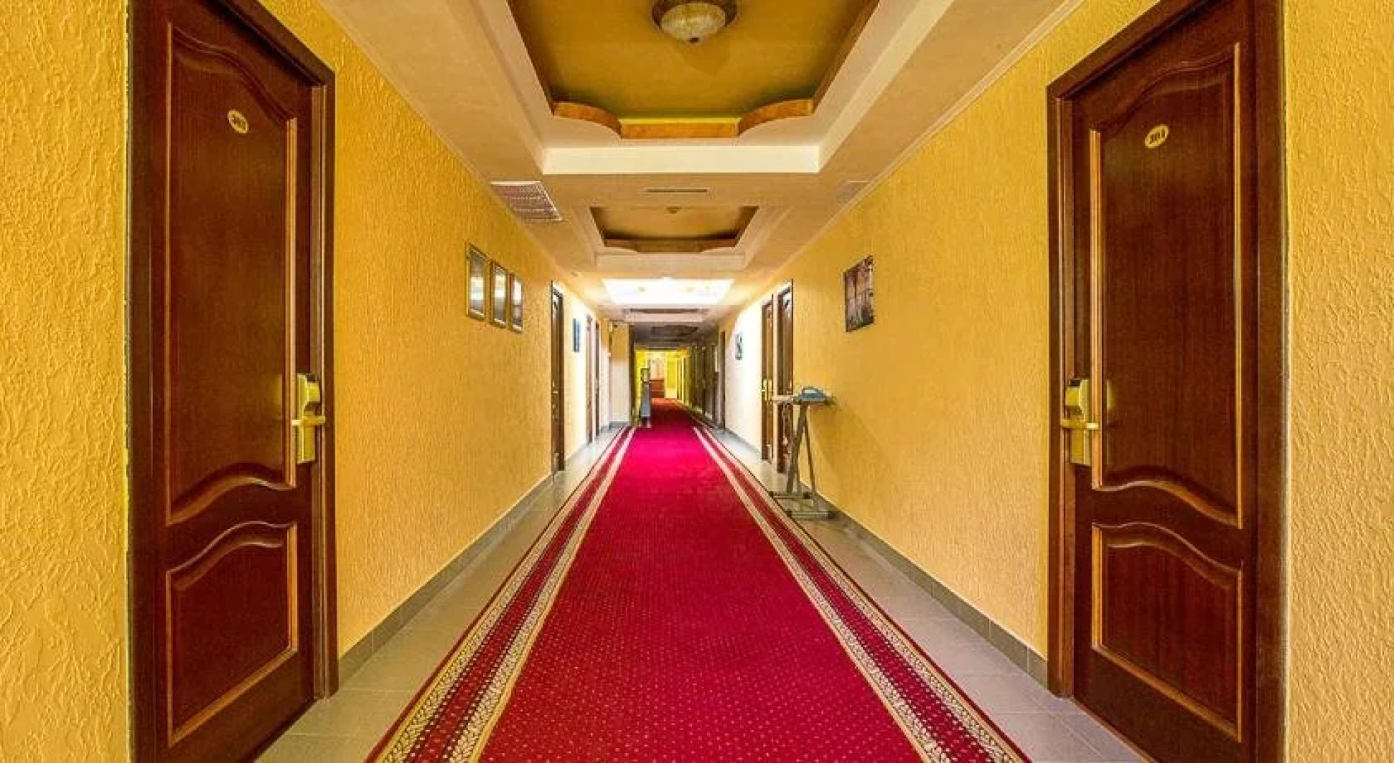 Отель Олеся