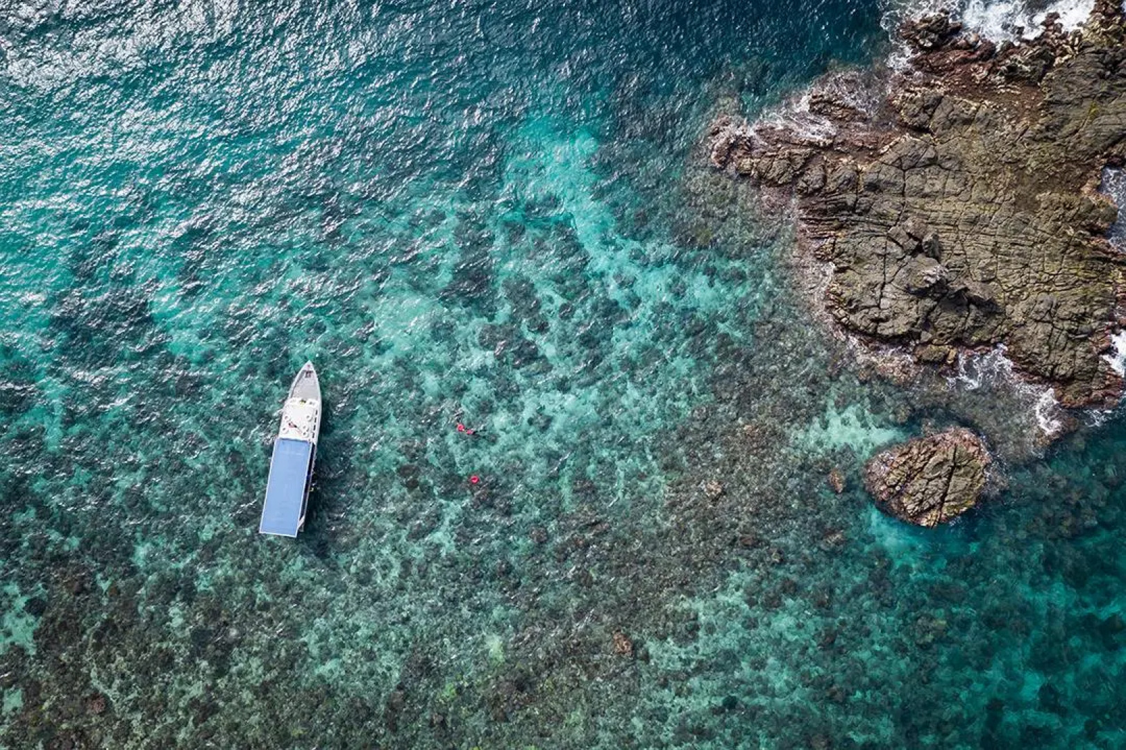 Murex Manado Dive Resort