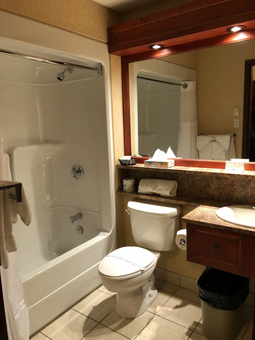 Hotel L'Oie des neiges