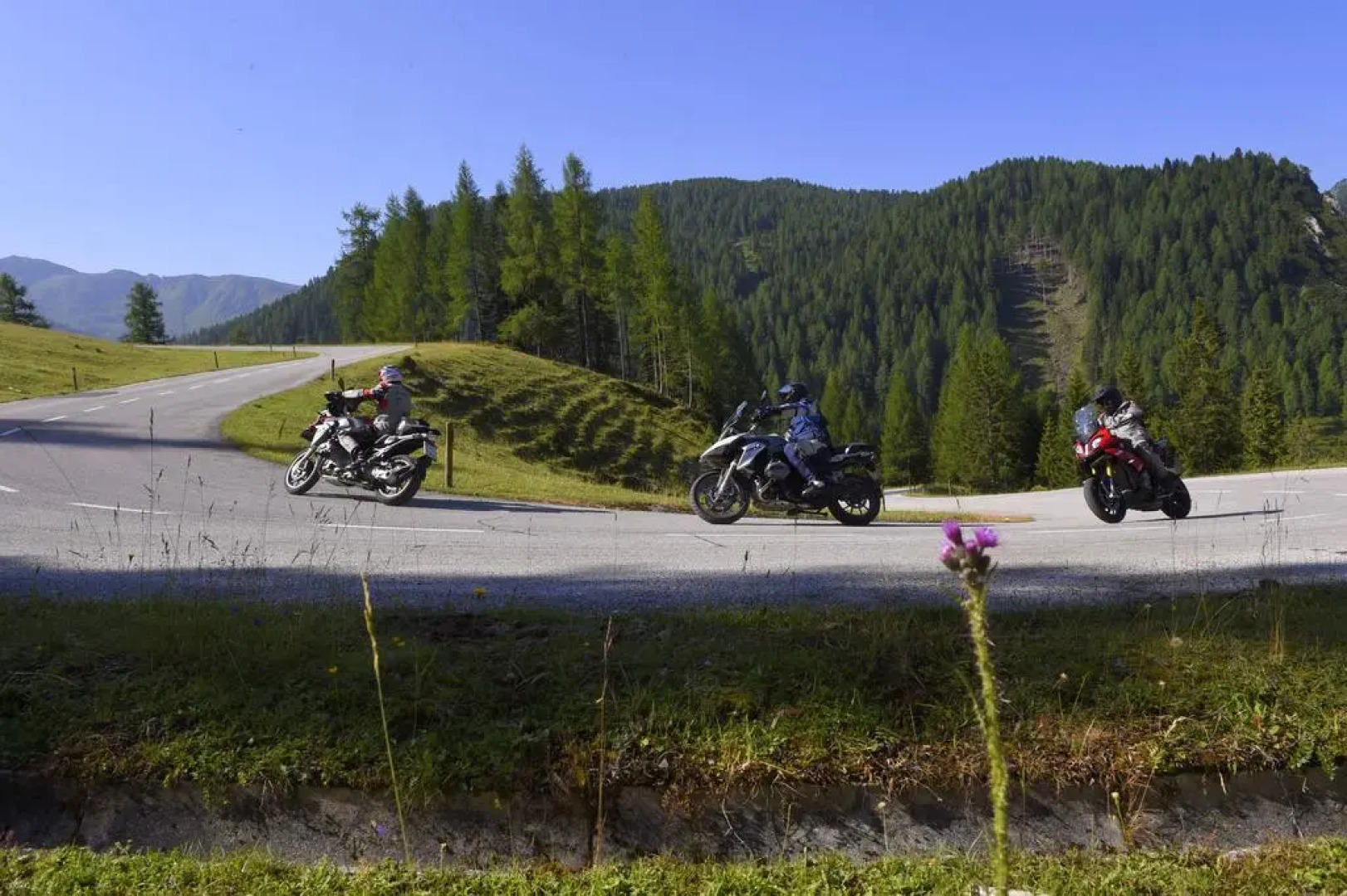 Grizzly Sport & Familien Resort