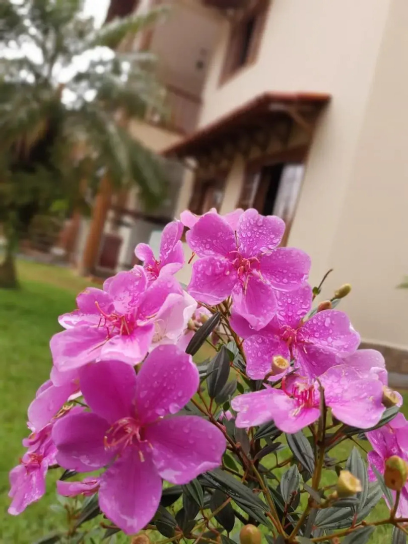 Pousada Il Conventino