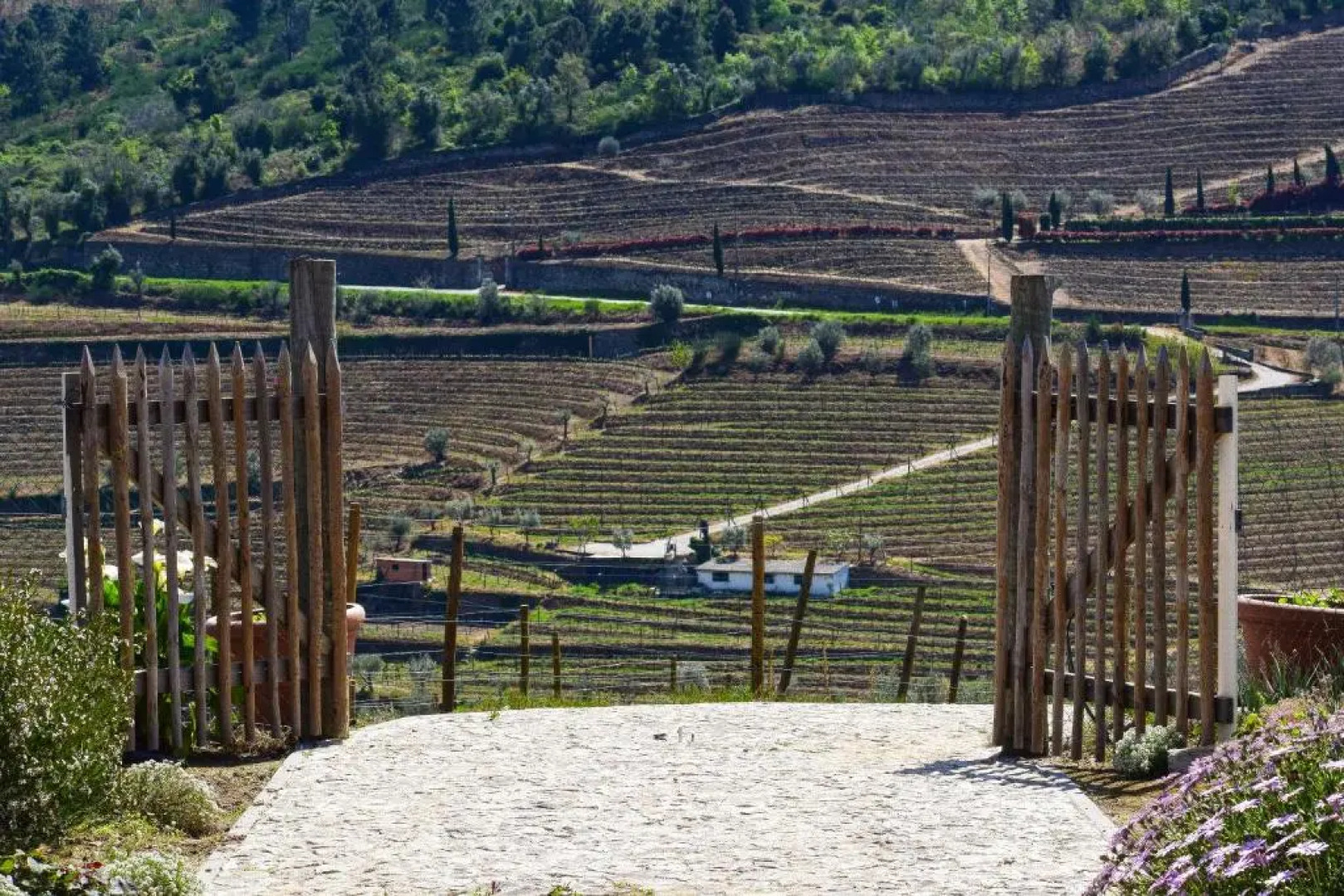 Quinta dos Padrinhos - Suites in the Heart of the Douro