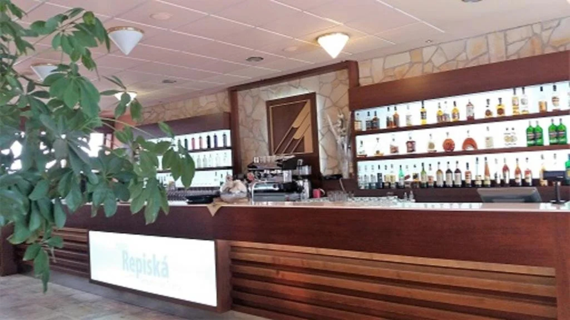 Wellness Hotel Repiska