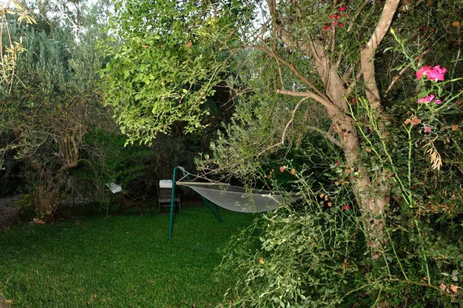 Spa Chalets In Olive Grove