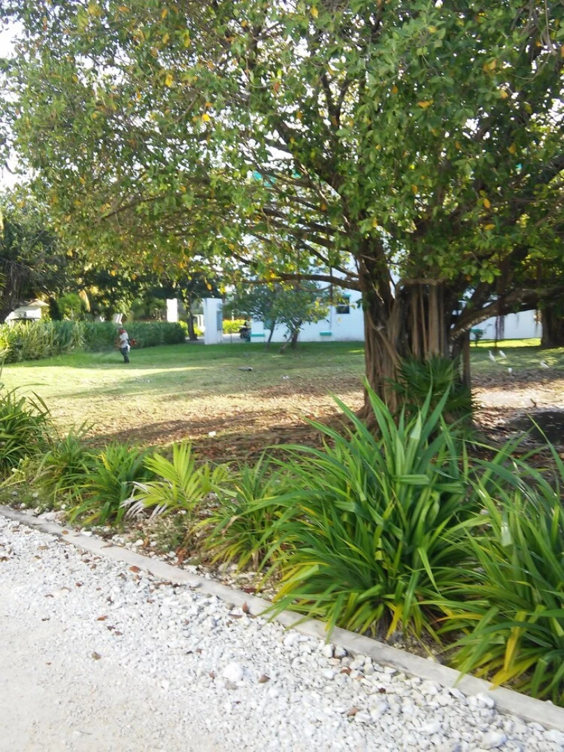 Grand Baymen Resort