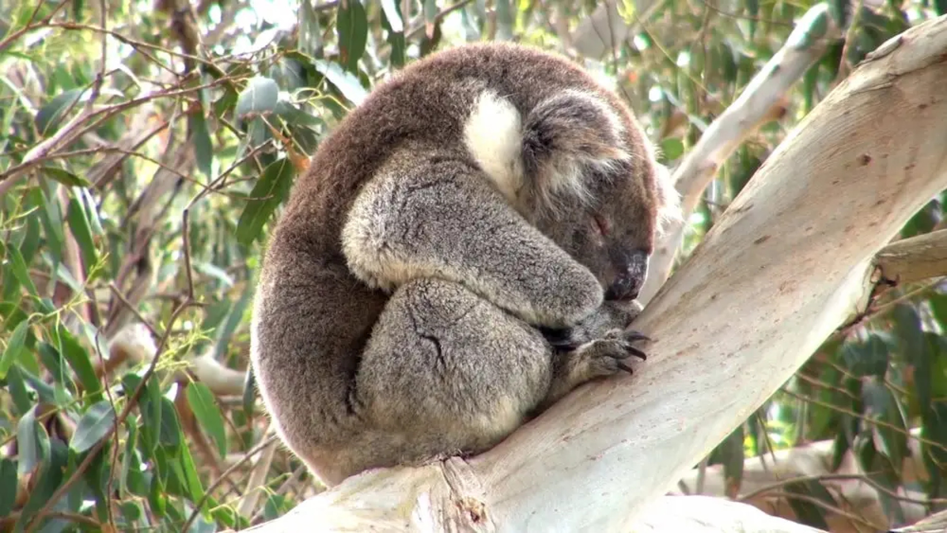 The Open House B&B Accommodation