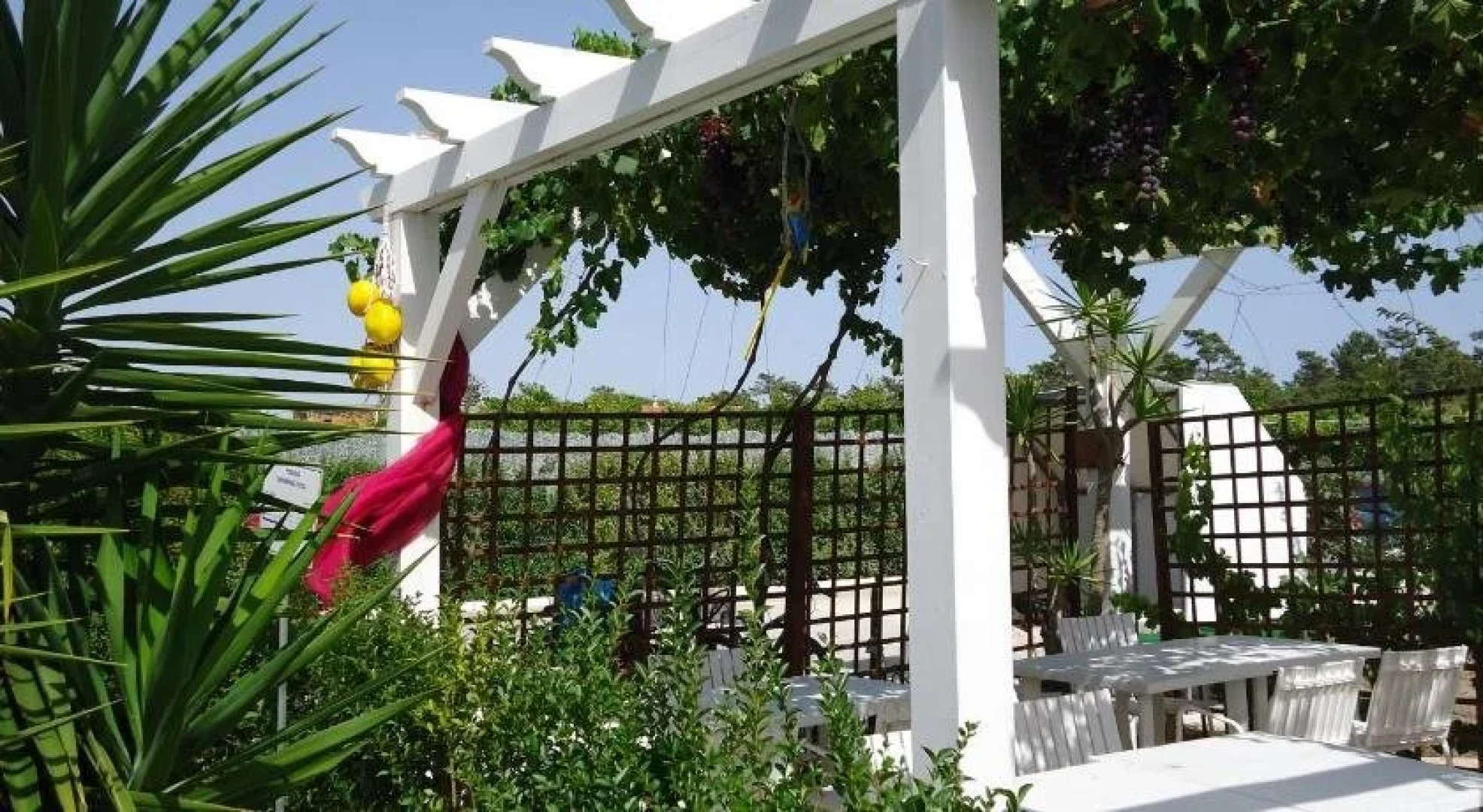 Quinta Da Rosa Linda