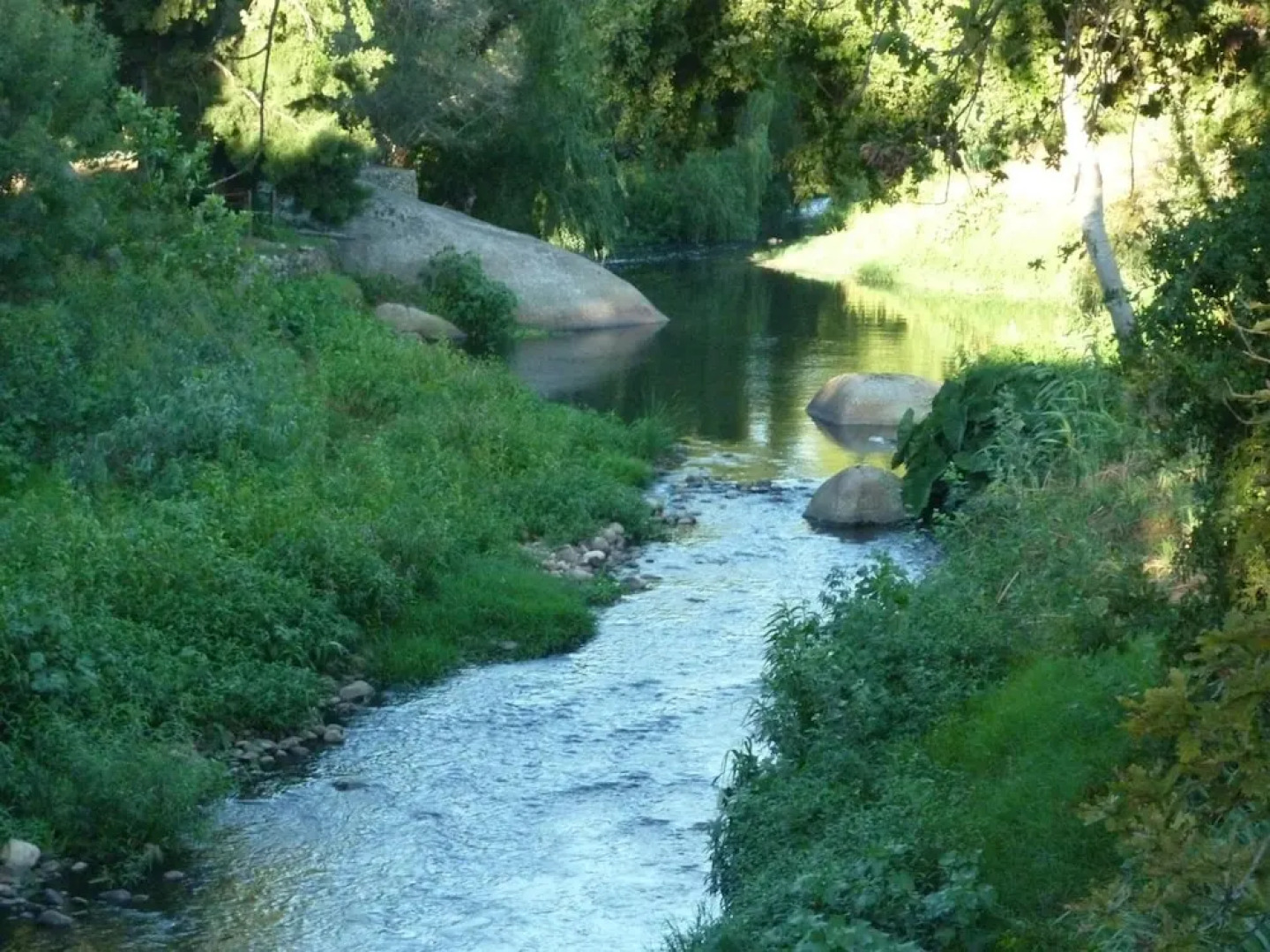 zu Jeddelohs Rosengarten Hotel & Bungalows
