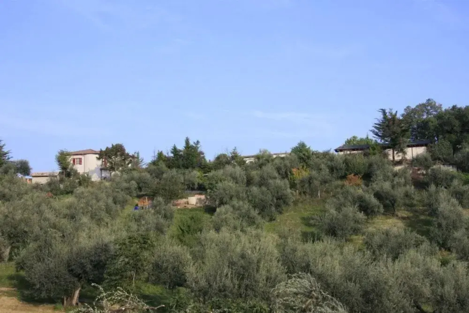 Agriturismo Collecera