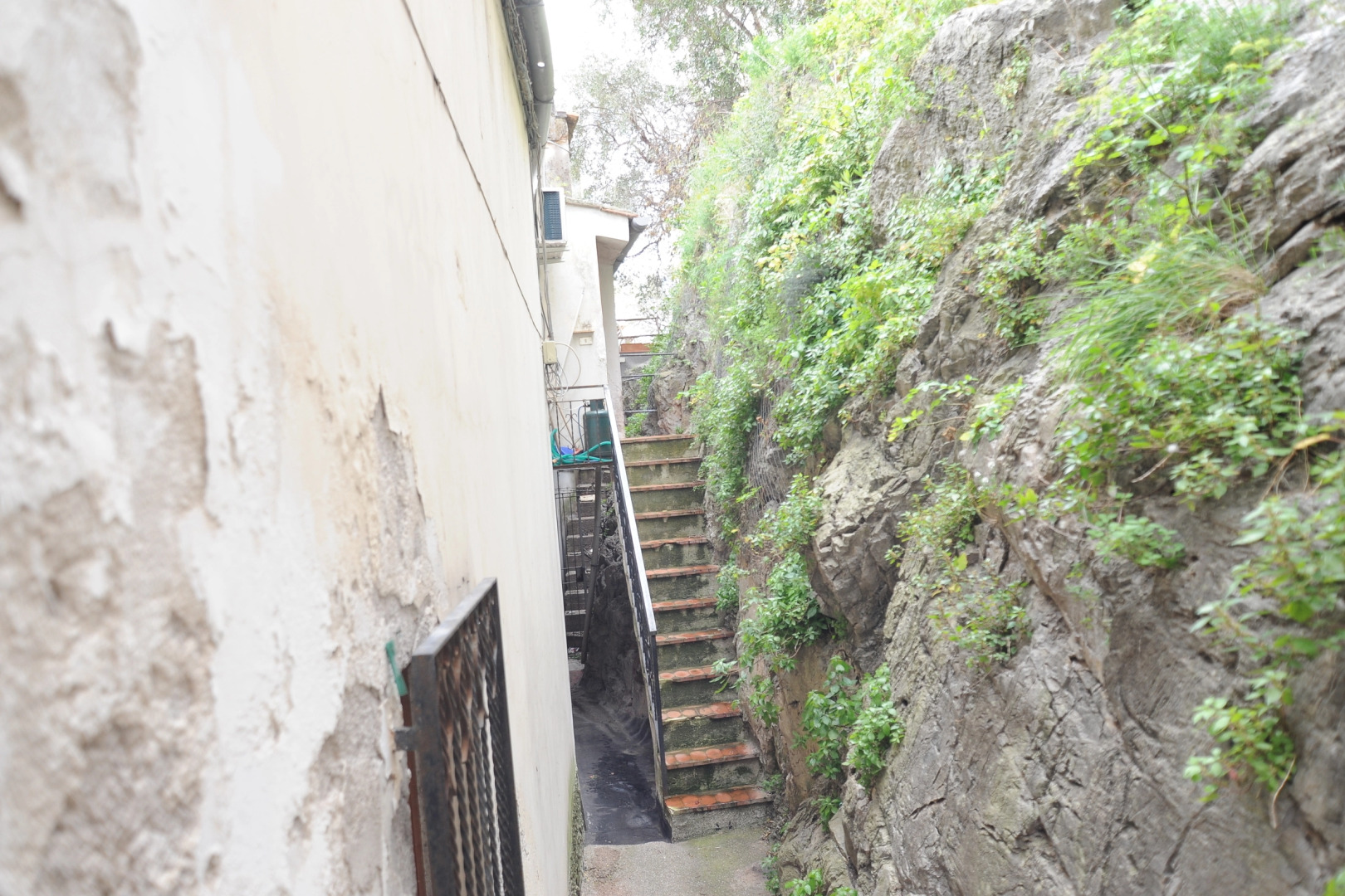 Galea on Amalfi coast