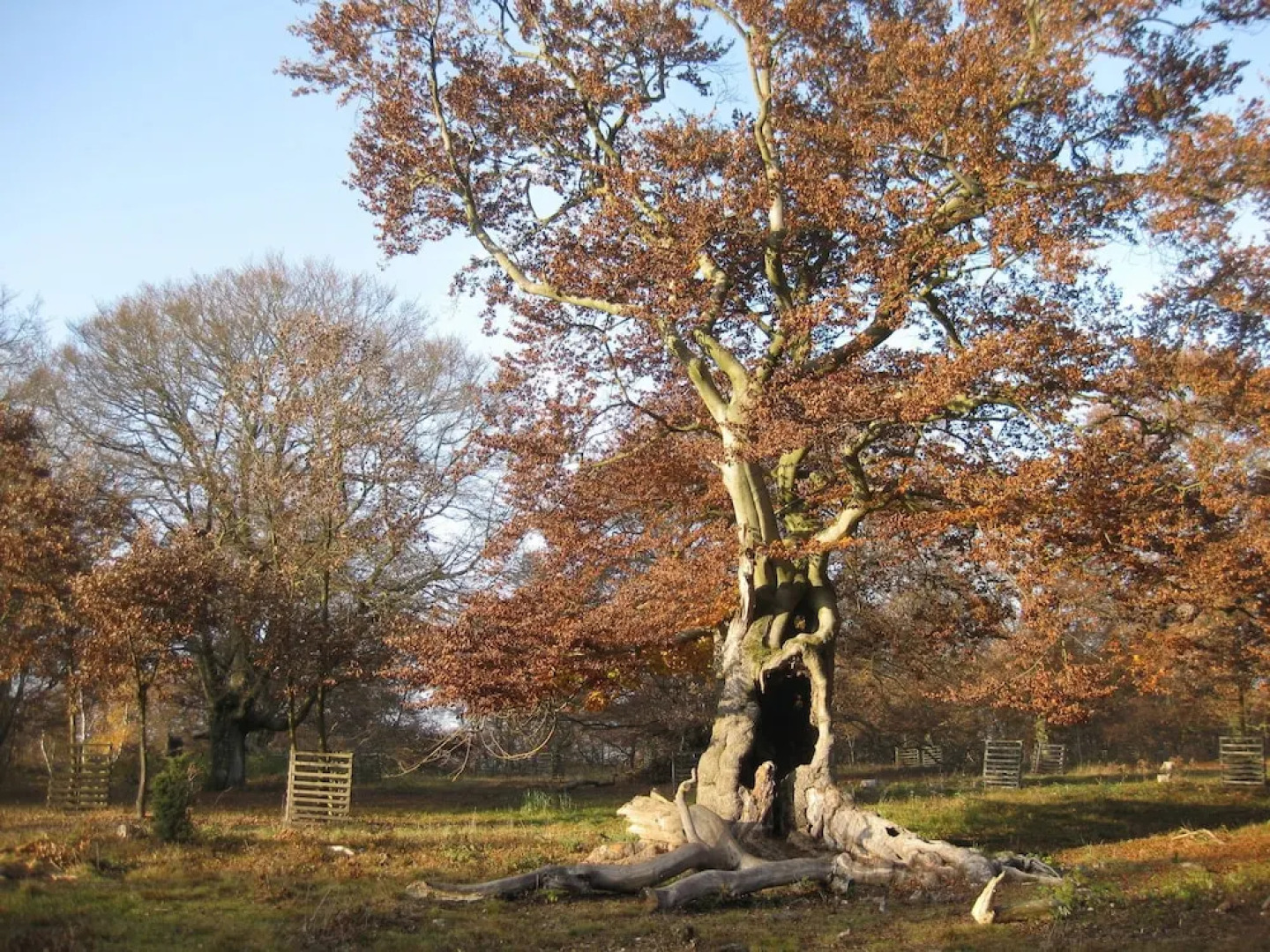 Pension Haus Abendrot