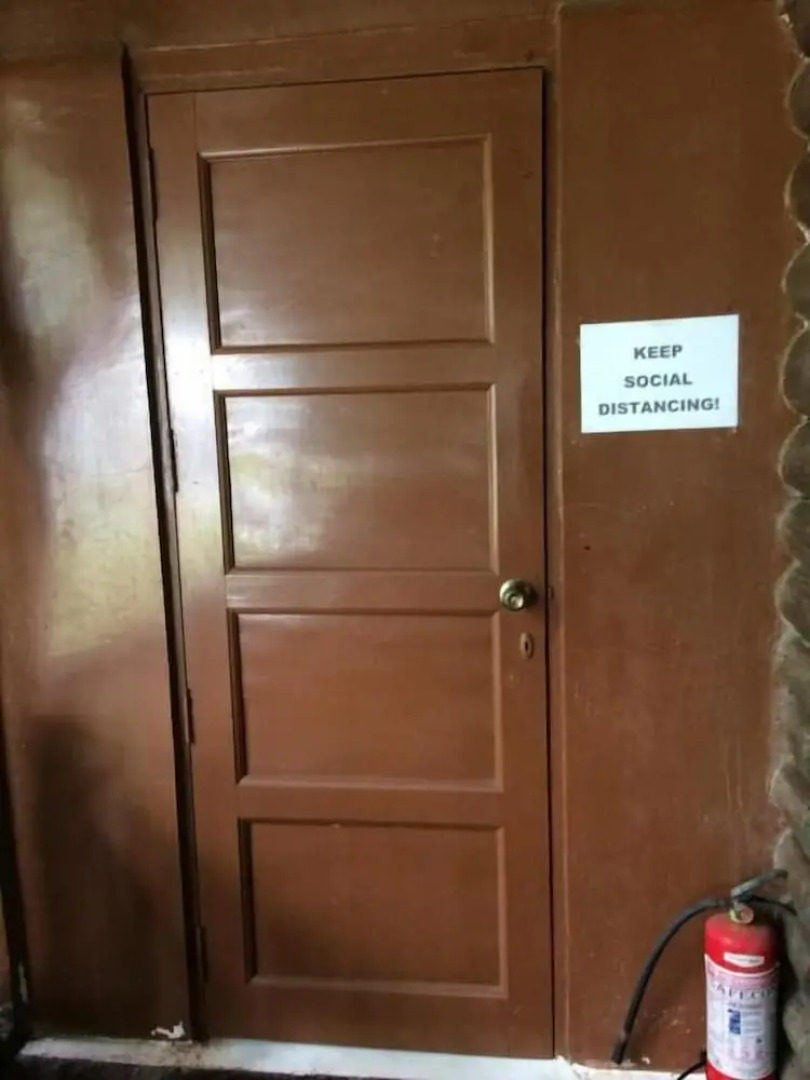 The Pelicans Castaway