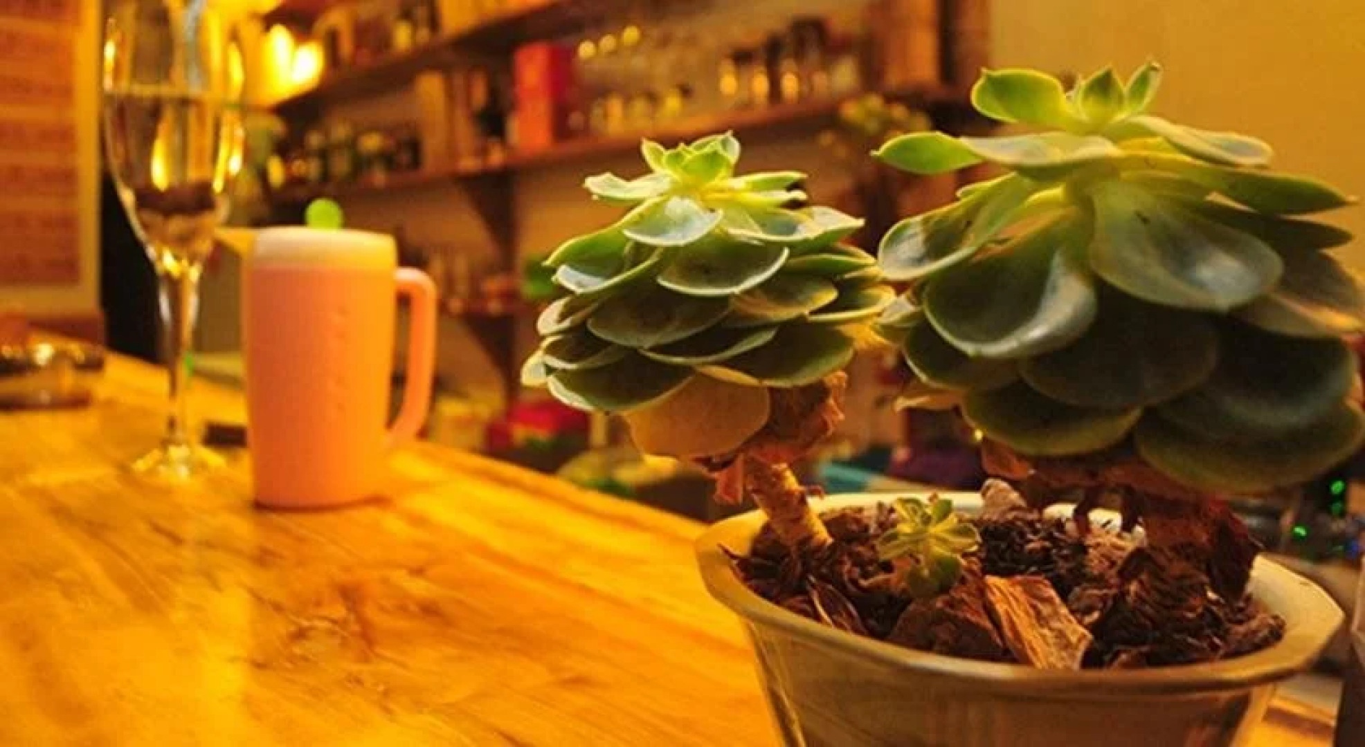 Travel Demo Youth Hostel International