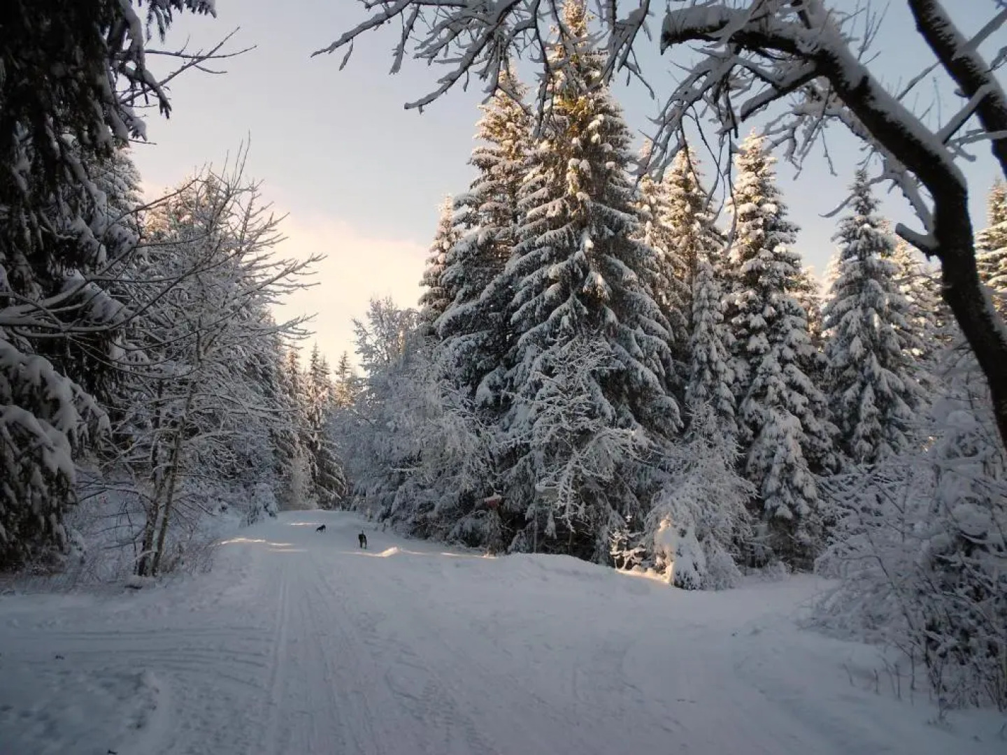 Ferienwohnung im Harz Haus Bruns