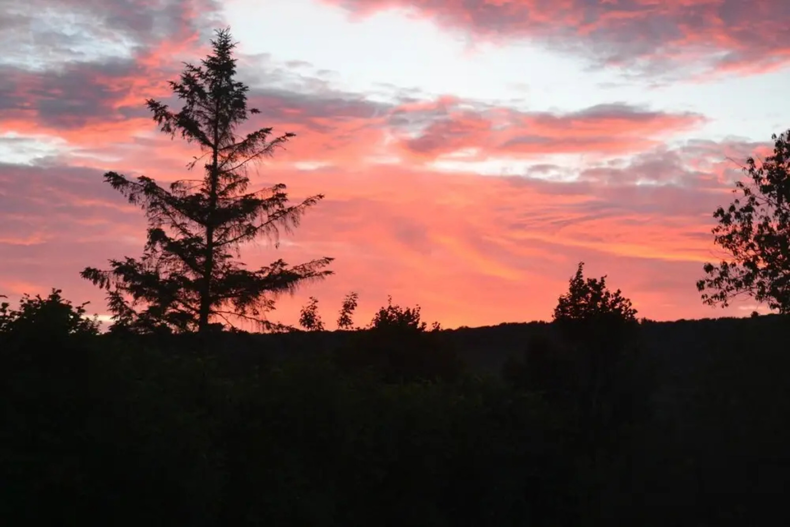 Le Manoir de Bonningues les Ardres