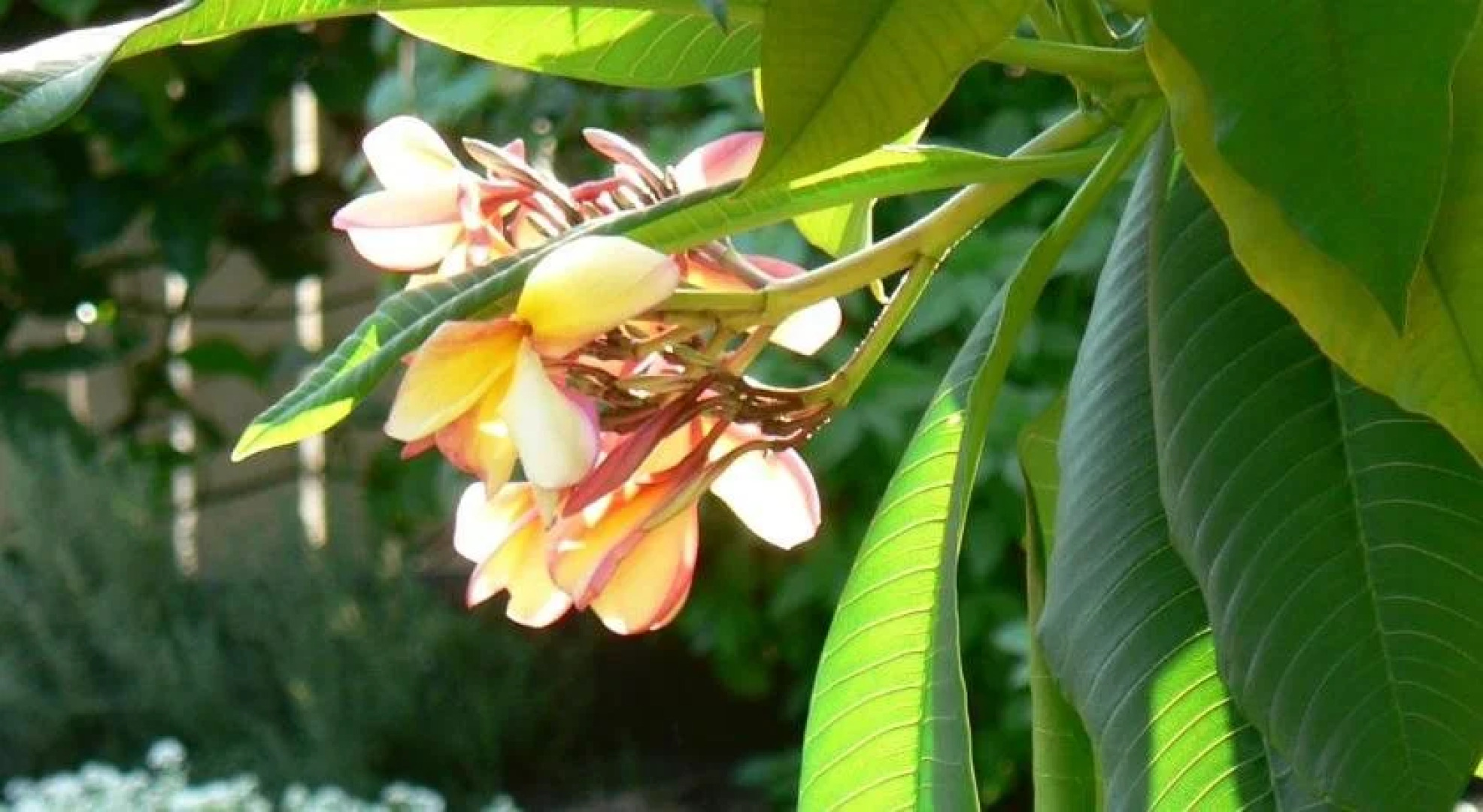 The Friendly Chat Bed and Breakfast