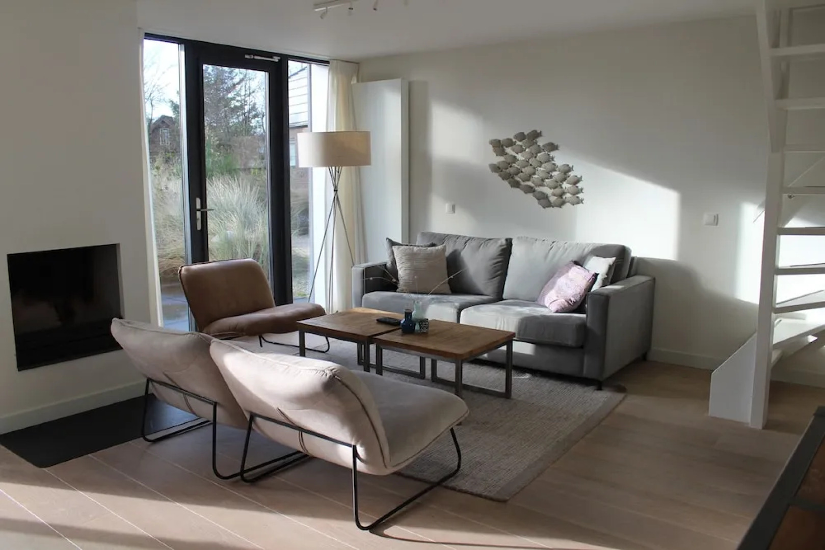 Zeester Egmond nr 15