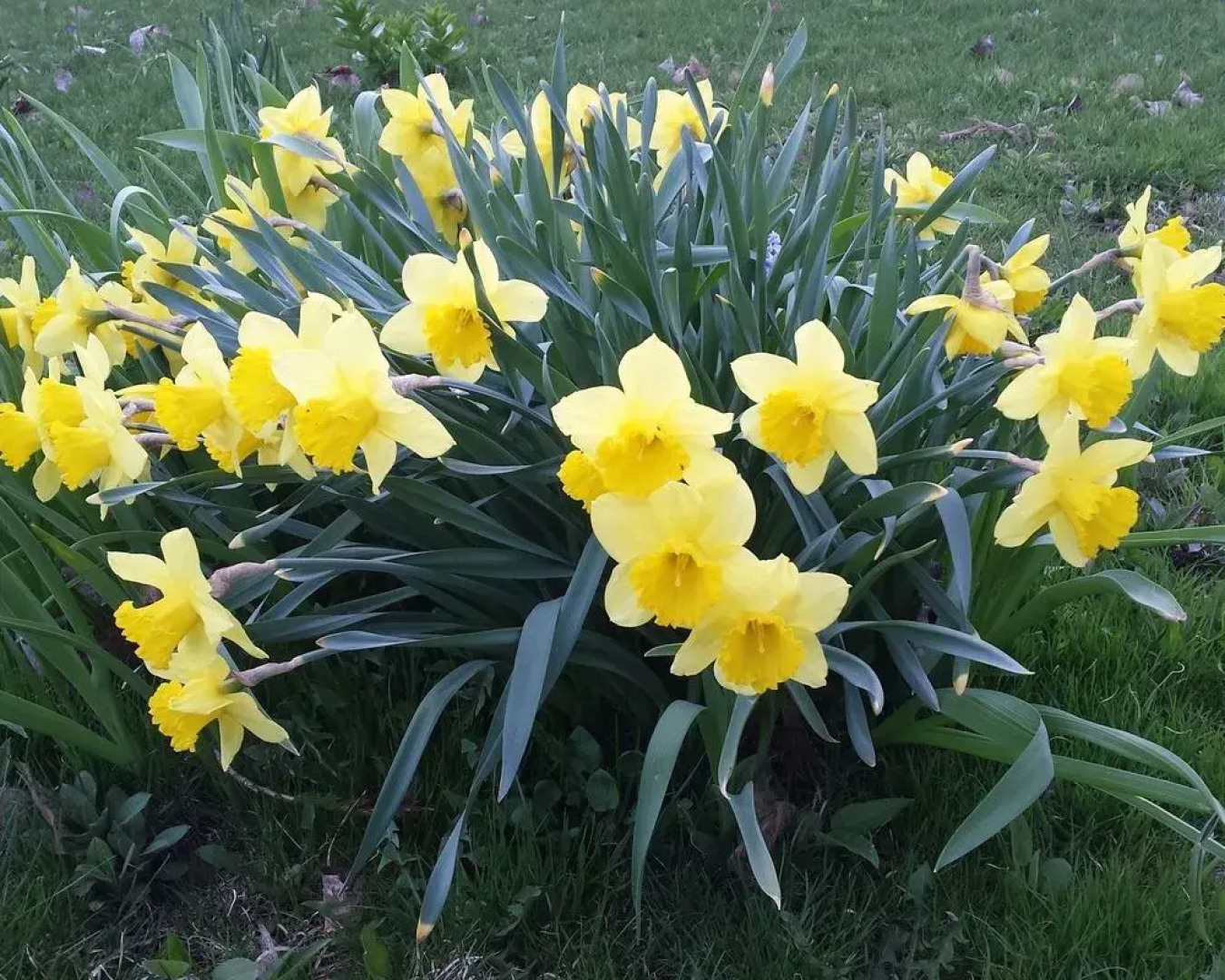 Saugeenview Family Getaway