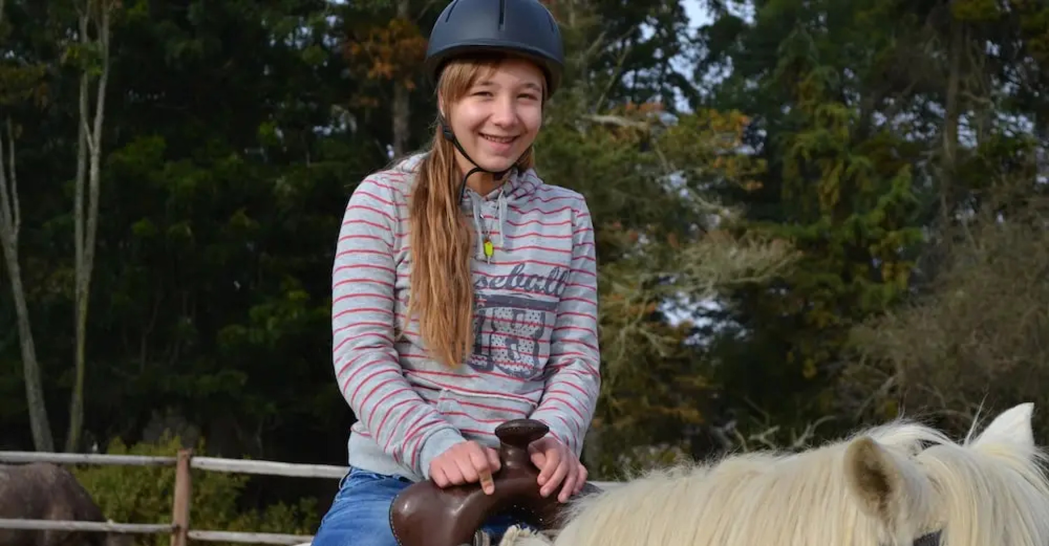 Antbear Drakensberg Lodge