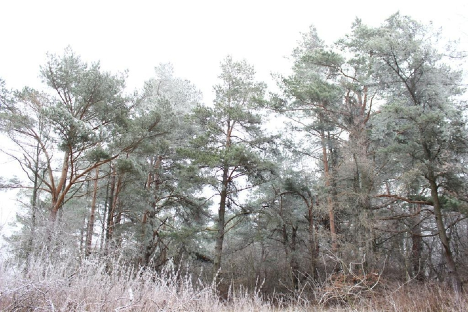 Wargenau Holiday Home