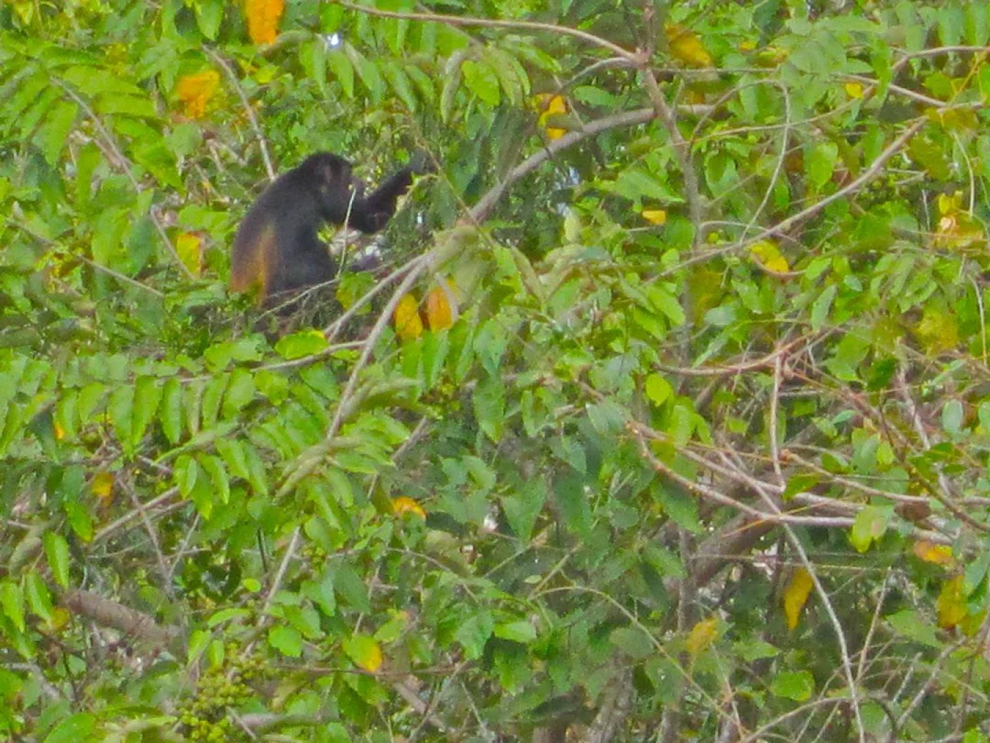 Montelaguna Boutique Hotel