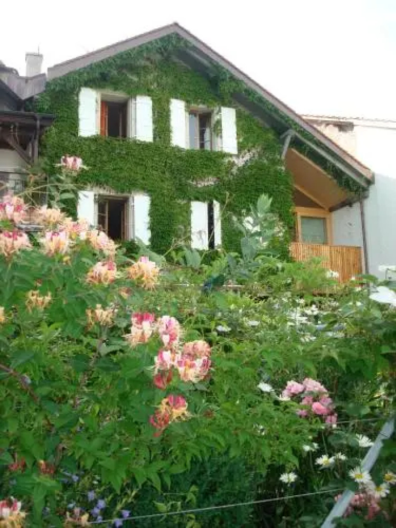 Wonderlandscape Guest House