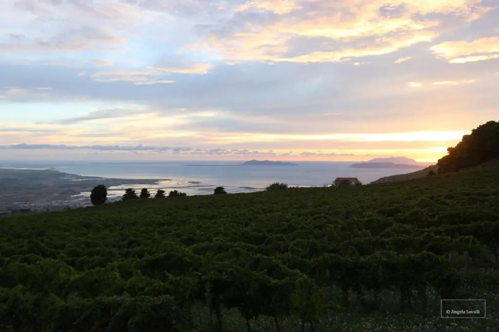La Casa Nel Vigneto Erice