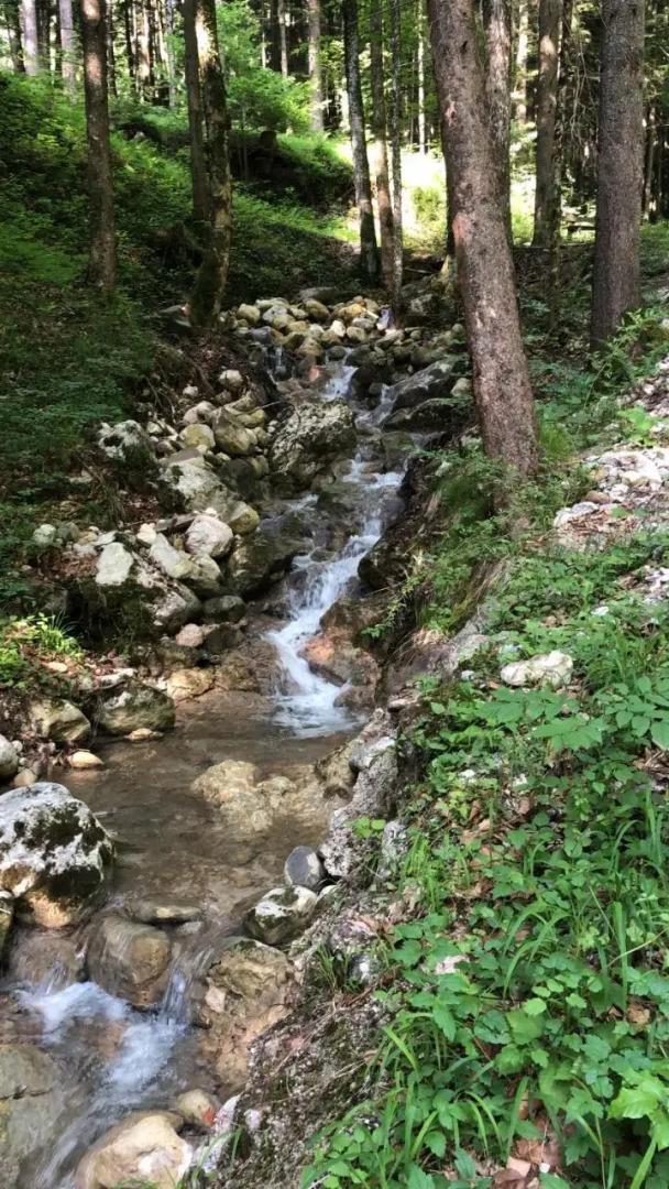 Pension Doffenmühle Köppl