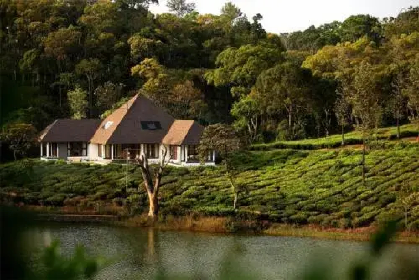 Silver Oak Plantation Bungalow