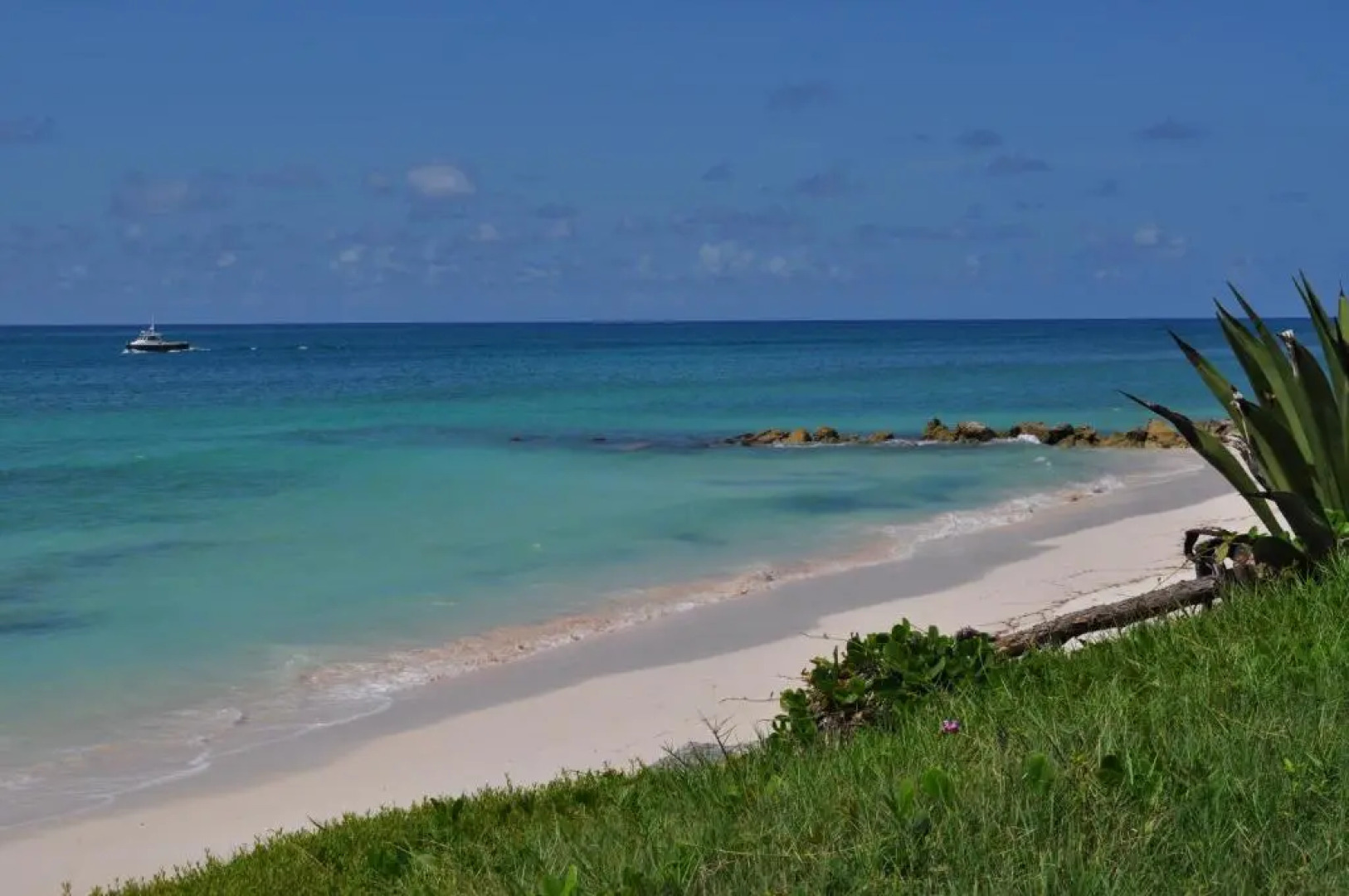 Tropical Gecko Studio - Sweet Jewel Apartments